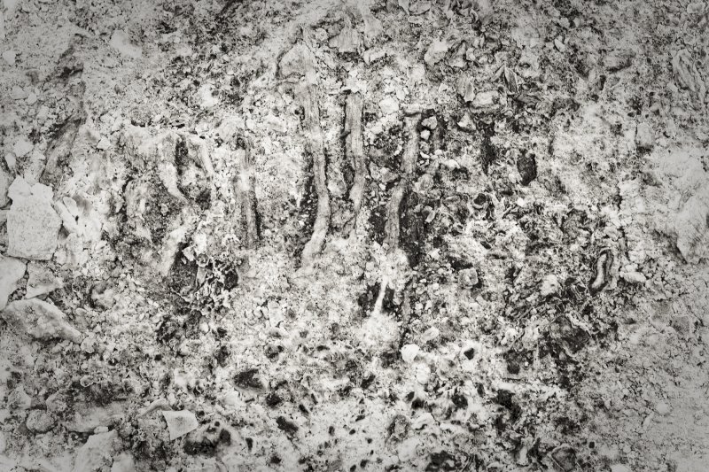 Текстура грязи бесшовная