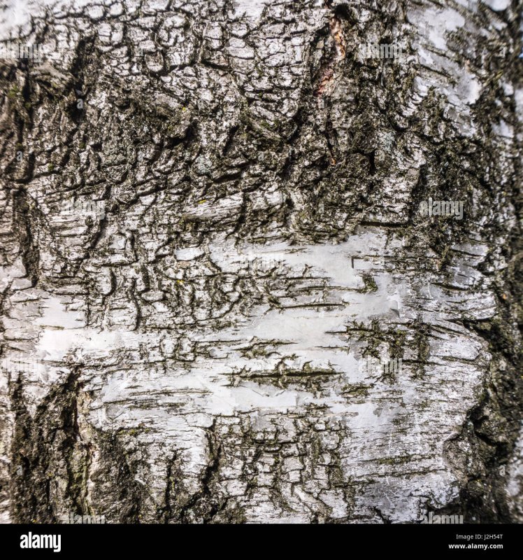 Паттерн Березовая кора