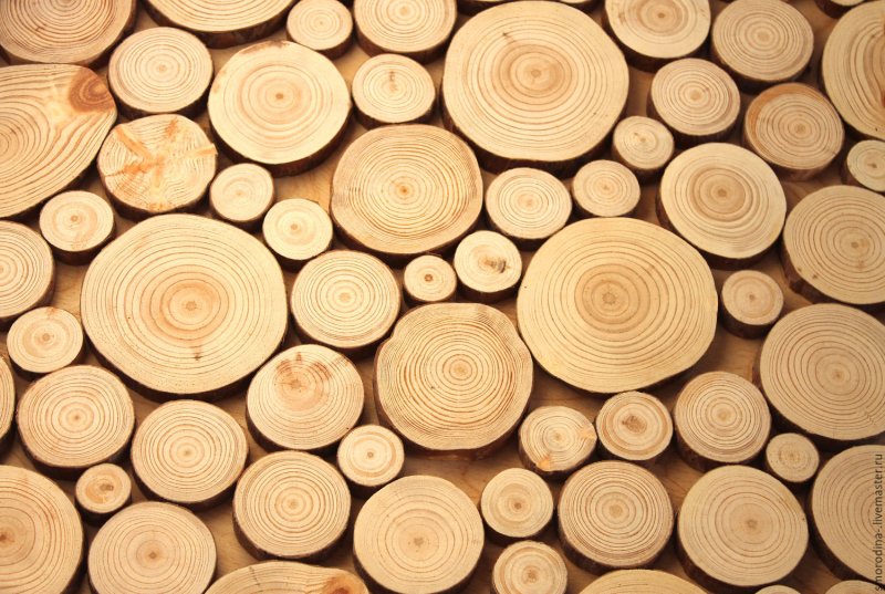 Круглый срез дерева