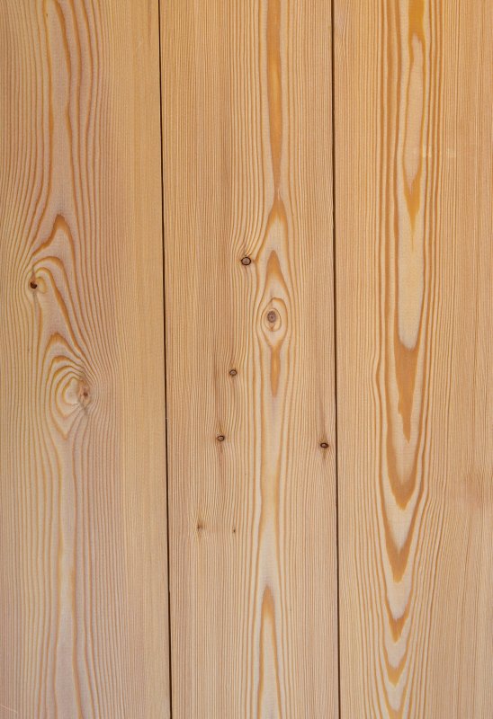 Лиственница текстура
