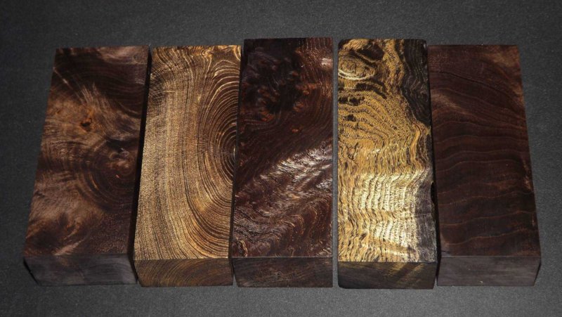 Бархат Амурский спил