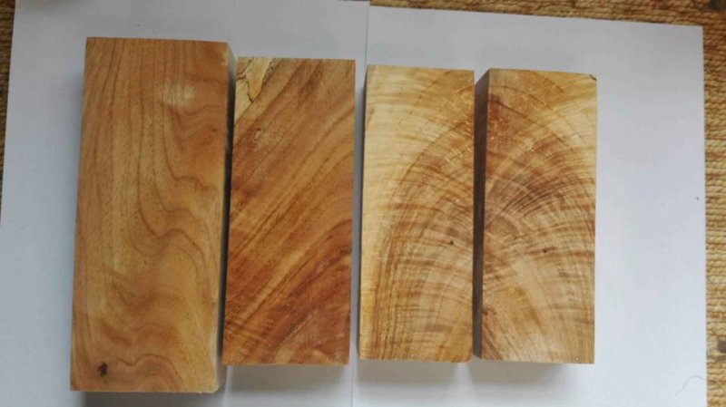 Ясень Дальневосточный дерево