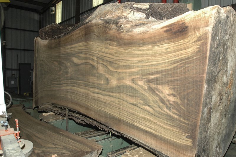 Слэб древесины грецкого ореха