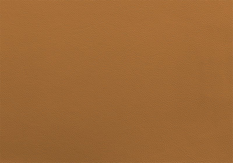 Светло коричневый свет