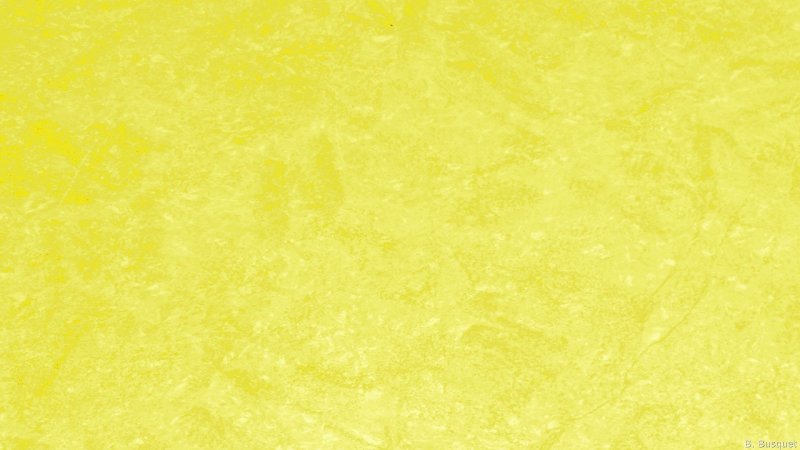 Желтый цвет текстура