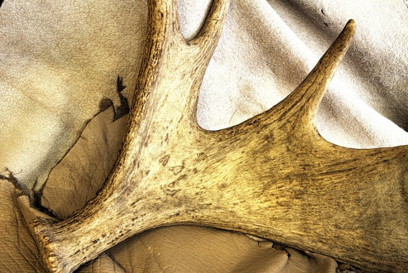 Фактура рога