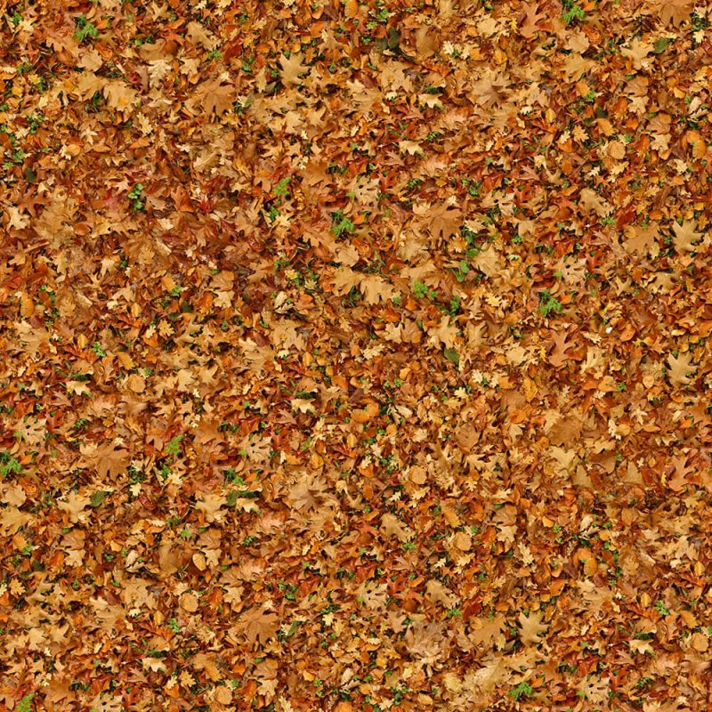 Текстура опавшей листвы