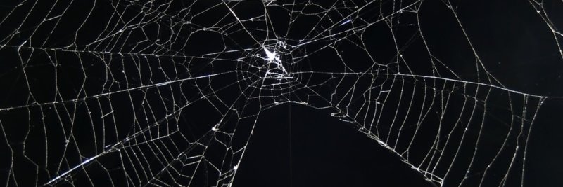 Эффект паутины