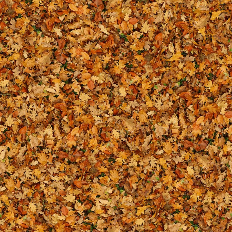 Текстура листвы