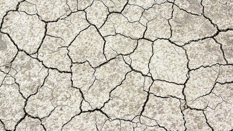 Текстура стены