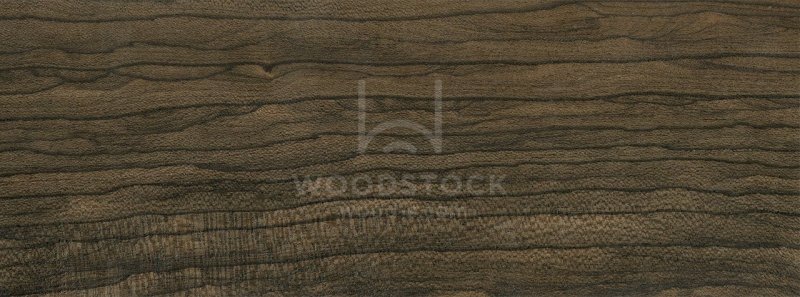 Зирикот Вудсток