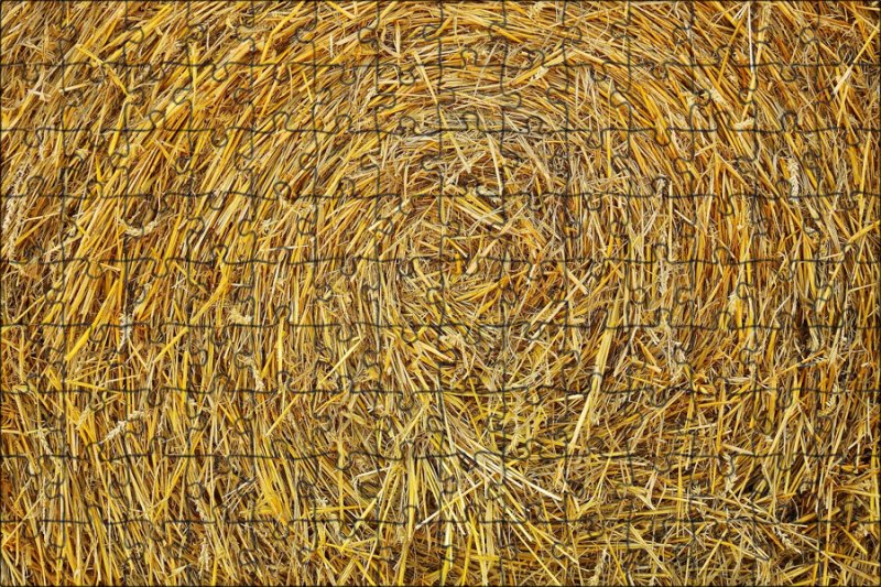Сено текстура бесшовная