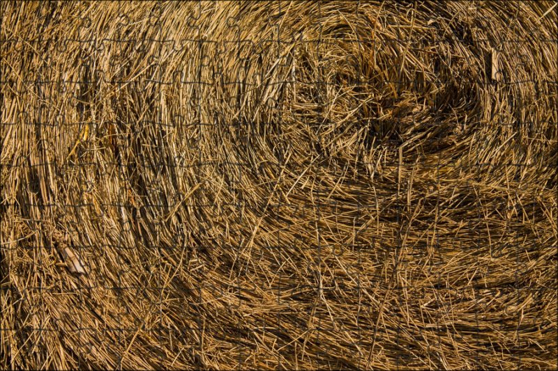 Солома текстура