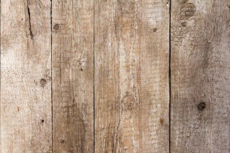 Фактура дерева