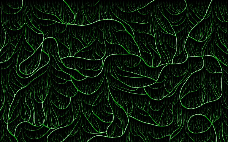 Джунгли текстура