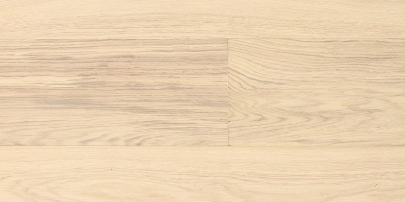 Текстура дерева