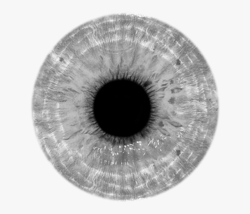 Зрачок глаза