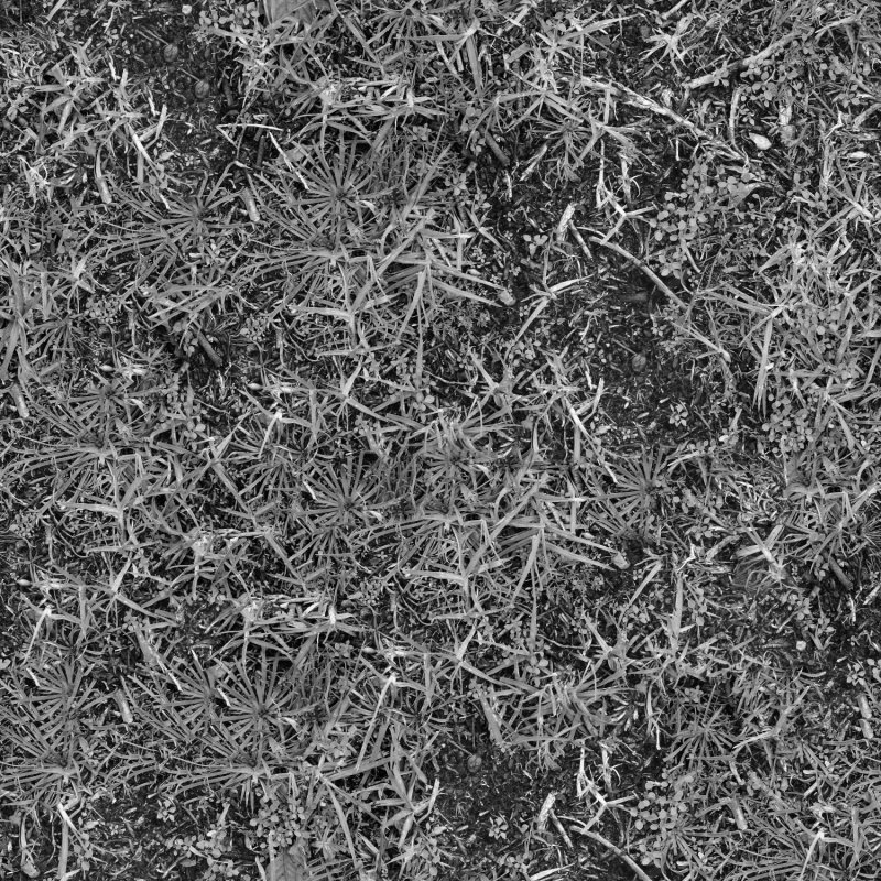 Трава дисплейсмент 3d Max