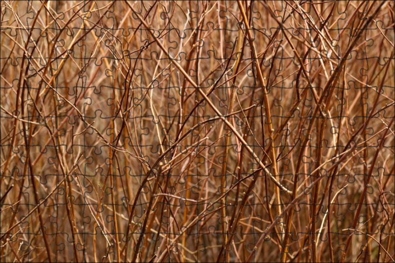 Сухие ветки