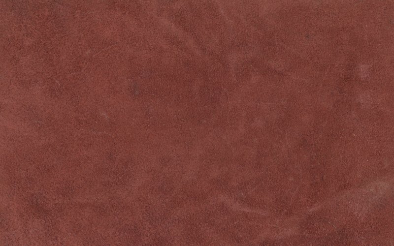 Текстура кожи