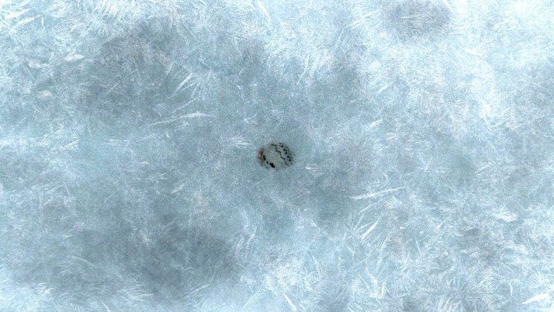 Текстуры для фотошопа