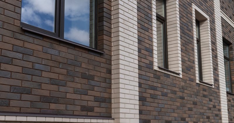 Браер Лимитед Терра