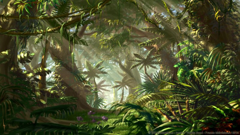 Джунгли Лопакал Геншин