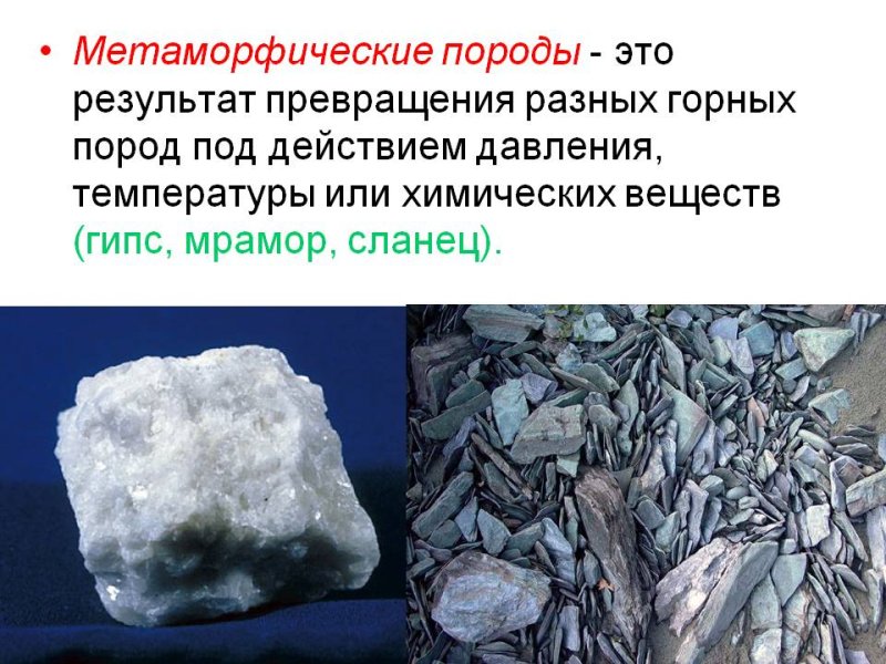 Осадочные и метаморфические горные породы