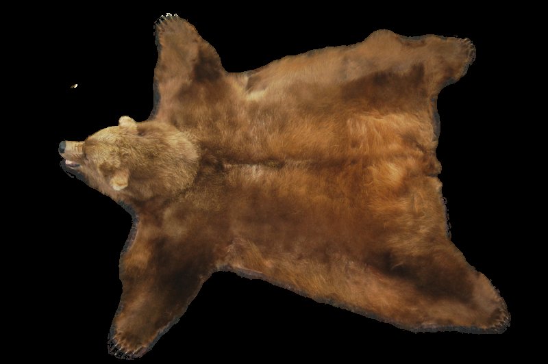Шкура медведя