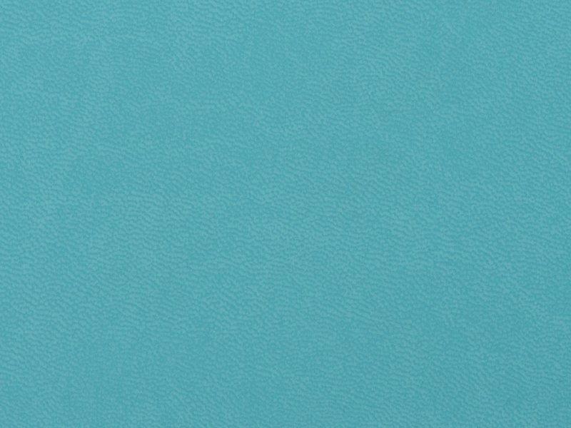 Голубая кожа