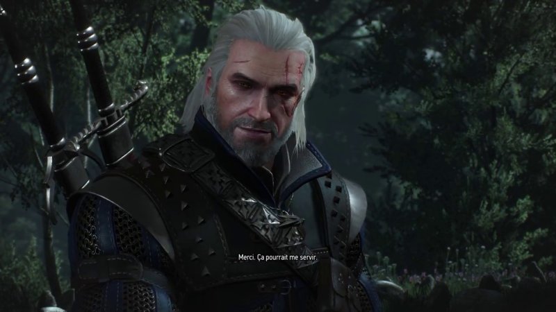 The Witcher 3 Reworked Project