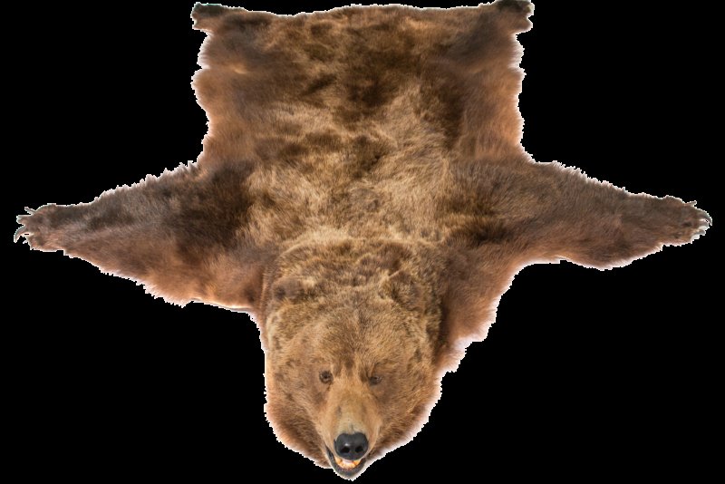 Медвежья шкура