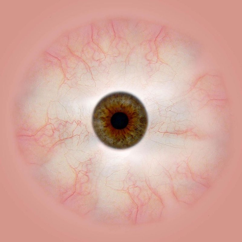 Текстура Радужки глаза