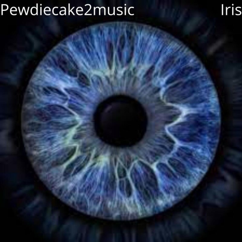 Ирис Радужная оболочка глаза