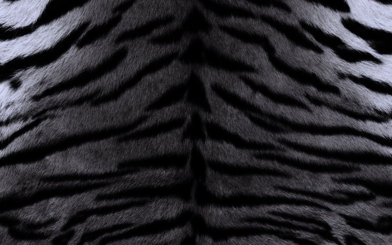 Шкура текстура