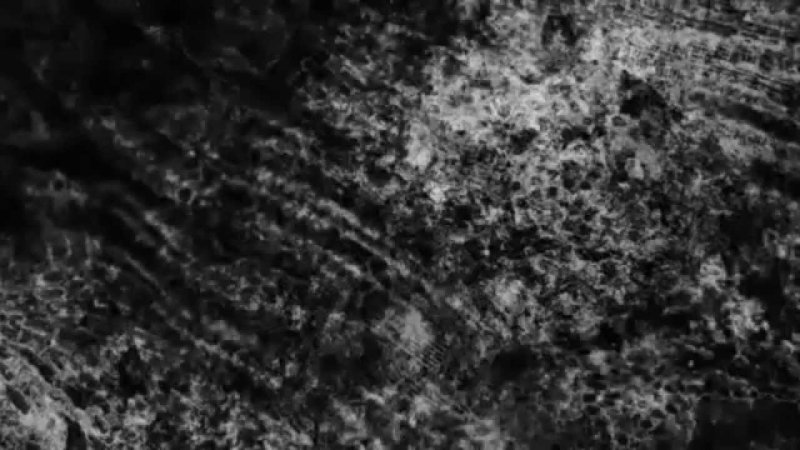 Грязь на черном фоне