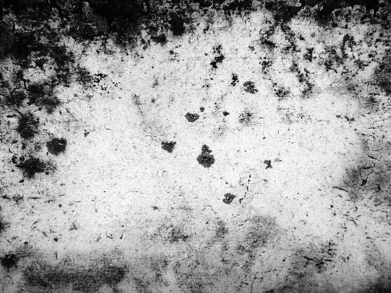 Текстура грязи