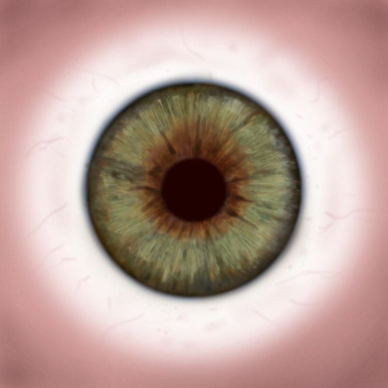 Текстура зрачка