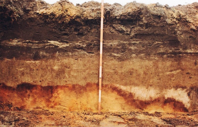 Почвенный профиль суглинок