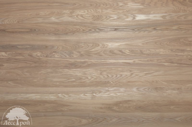 98 П золотистый дуб Скиф