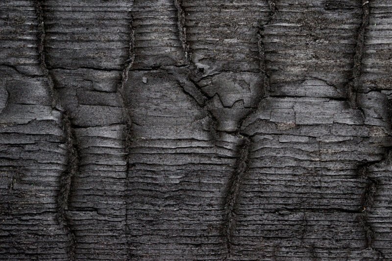 Текстура дерева