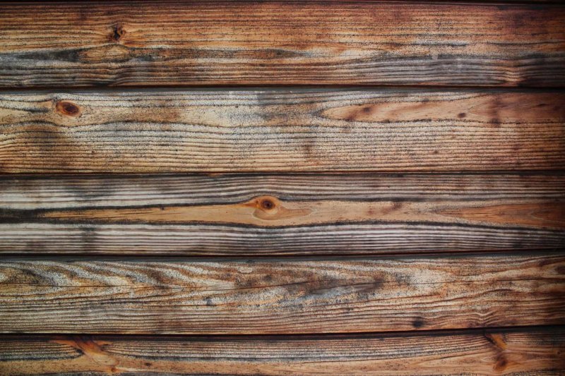 Фактура дерева