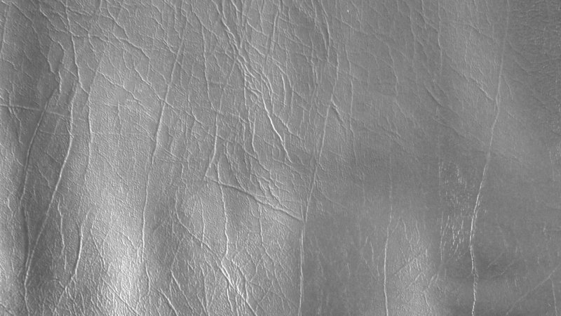 Текстура кожи бесшовная