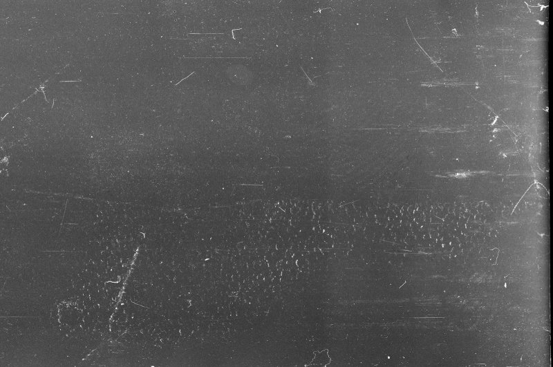 Скан пленочного зерна Ilford Delta 400pr