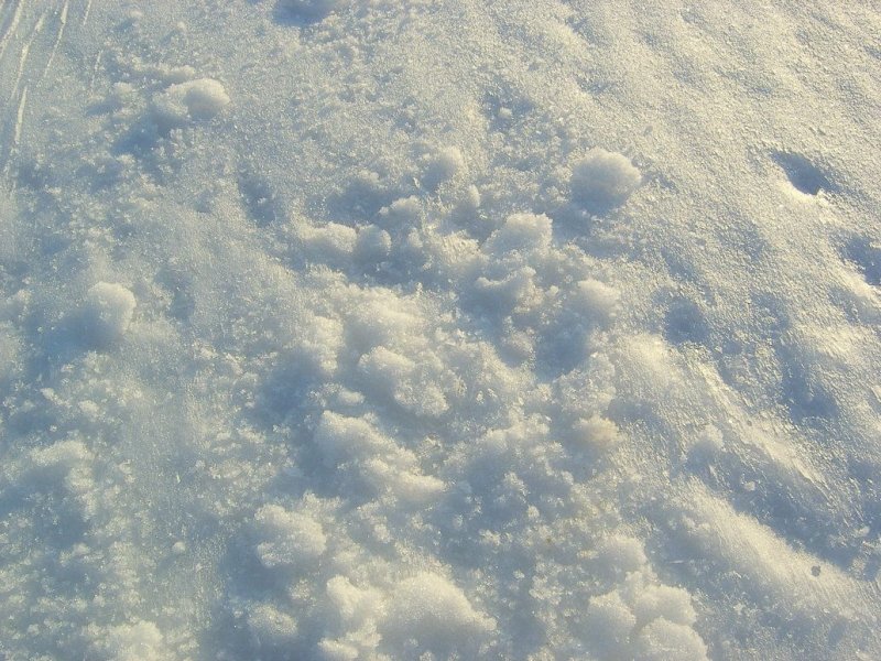 Снег текстура