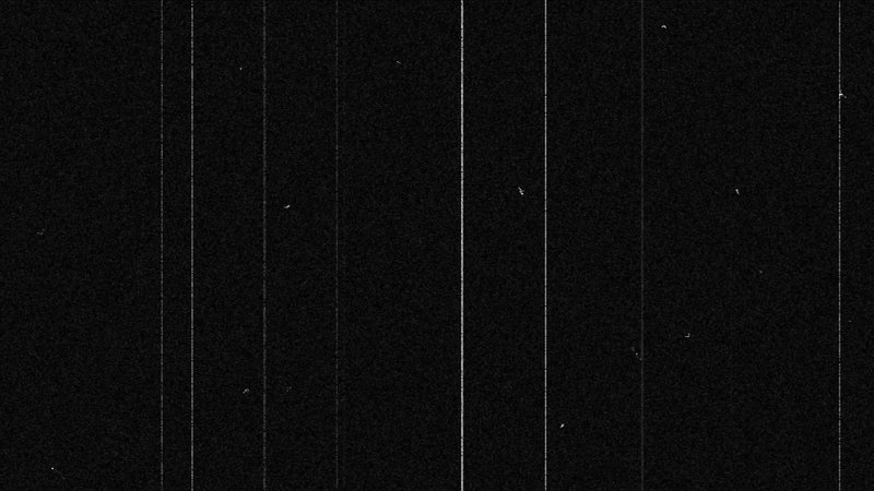 Скан пленочного зерна Ilford Delta 400pr