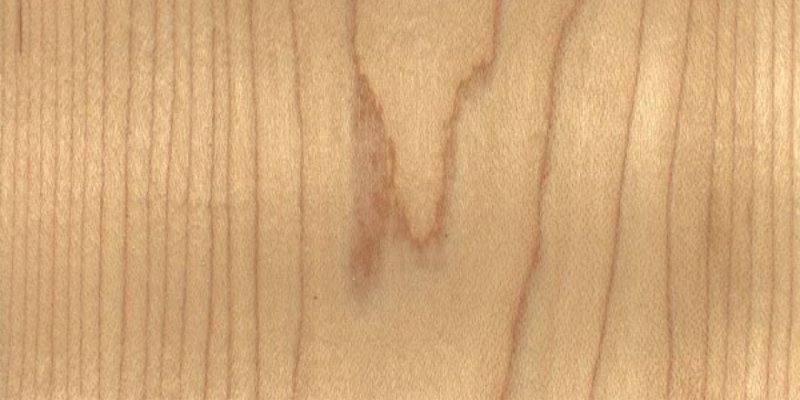 Канадский клен древесина