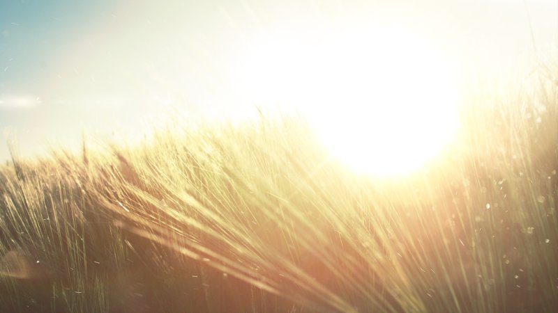 Фон солнце с лучами