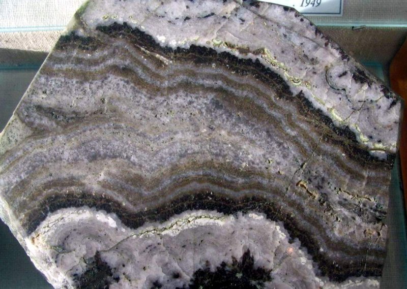 Крустификационная текстура