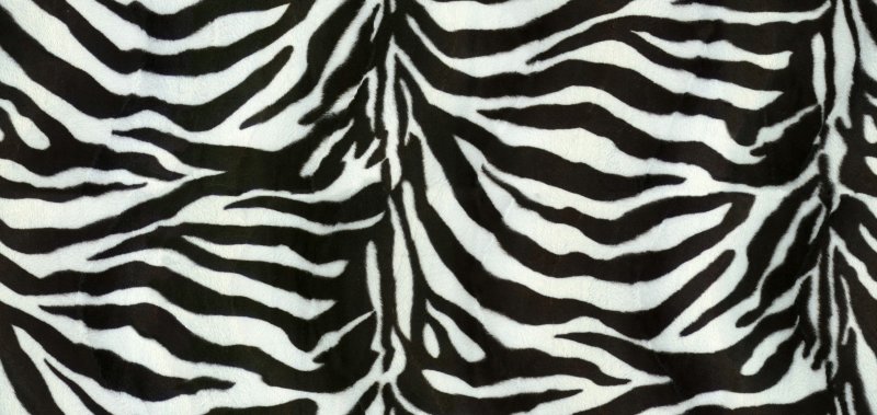 Зебра паттерн